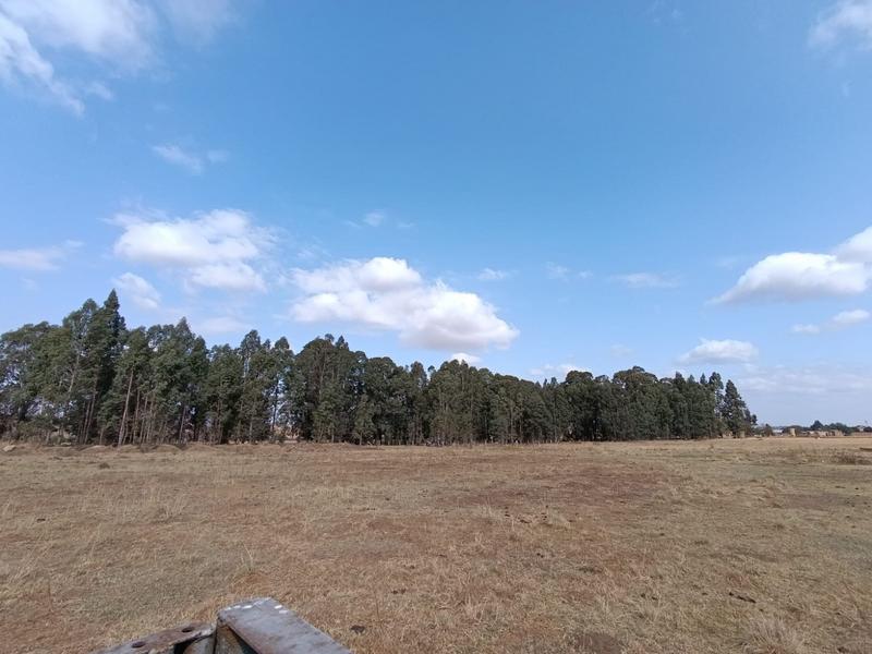 4 Bedroom Property for Sale in Middelburg Eastern Cape